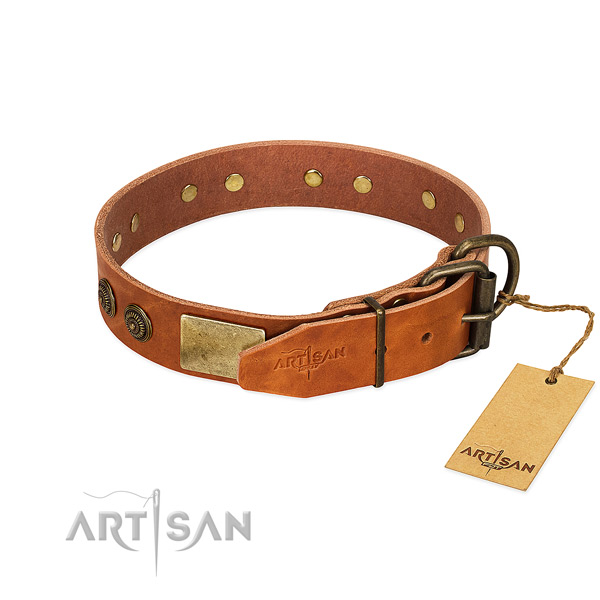 Reliable fittings on full grain natural leather collar for daily walking your four-legged friend