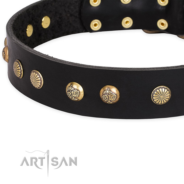 Full grain natural leather collar with rust-proof hardware for your beautiful doggie