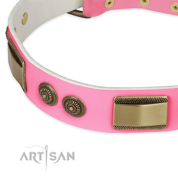 Genuine leather dog collar with studs for daily use