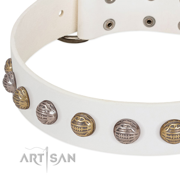 Corrosion proof D-ring on full grain leather collar for walking your doggie