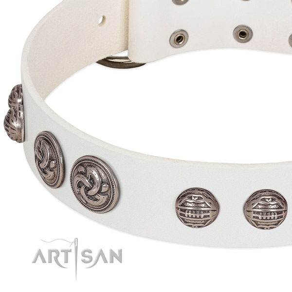 Reliable fittings on full grain leather collar for basic training your dog