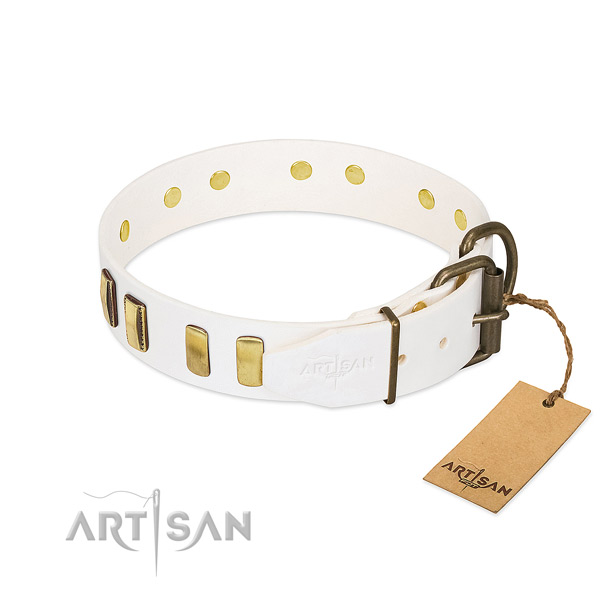 Quality genuine leather dog collar with reliable hardware