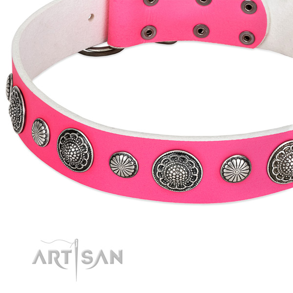 Full grain natural leather collar with durable fittings for your lovely canine
