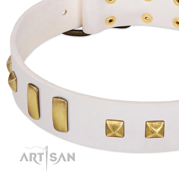 Reliable natural leather dog collar with decorations for fancy walking