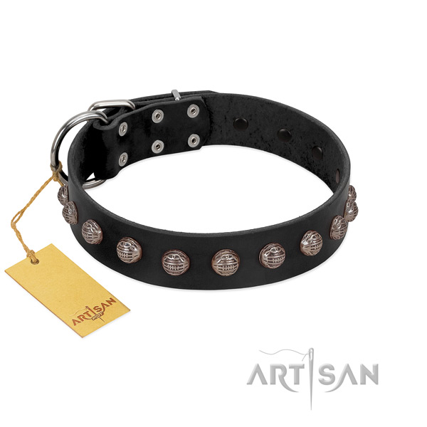 Durable fittings on exquisite full grain natural leather dog collar