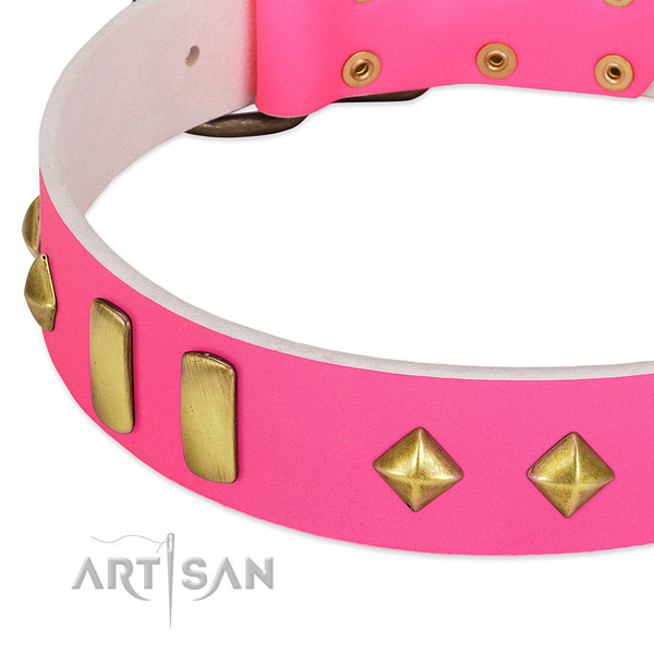 Natural leather dog collar with strong traditional buckle for easy wearing