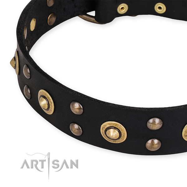 Full grain natural leather collar with corrosion proof traditional buckle for your handsome four-legged friend