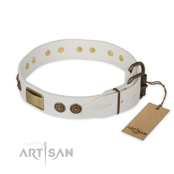 Rust resistant buckle on leather collar for daily walking your canine