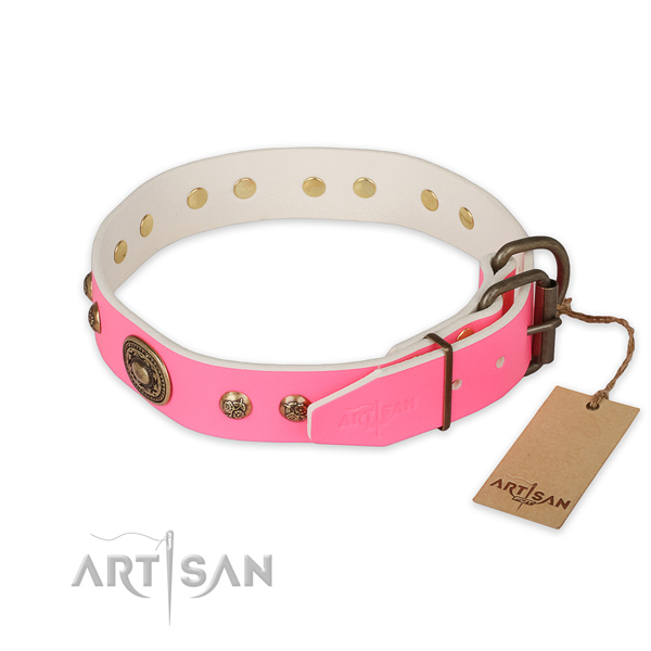 Rust resistant buckle on full grain leather collar for walking your pet