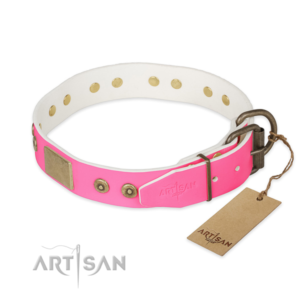 Strong studs on daily walking dog collar