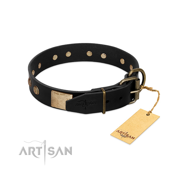 Corrosion proof adornments on handy use dog collar