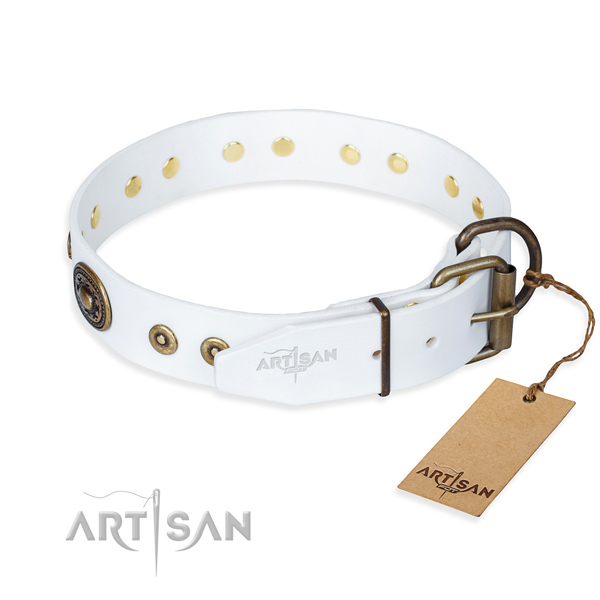 Full grain leather dog collar made of top notch material with corrosion proof adornments