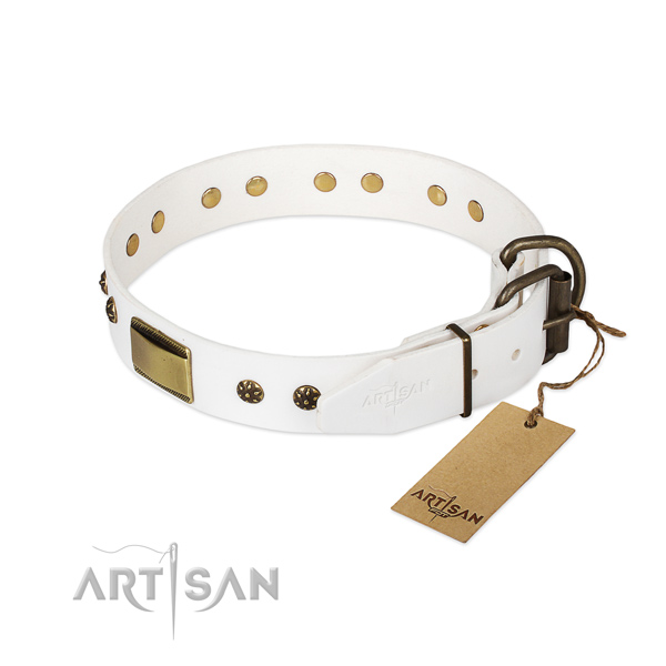 Full grain natural leather dog collar with reliable fittings and adornments