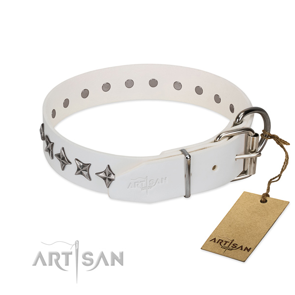Comfortable wearing decorated dog collar of finest quality full grain natural leather