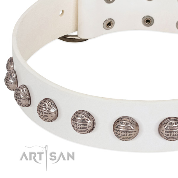 Inimitable leather dog collar with corrosion resistant adornments