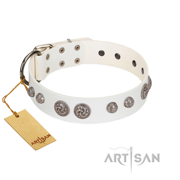 Reliable decorations on full grain natural leather dog collar for your doggie