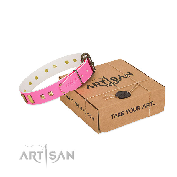 Reliable fittings on daily walking collar for your four-legged friend