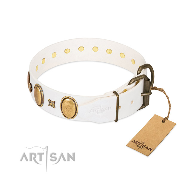 Rust-proof decorations on daily walking dog collar