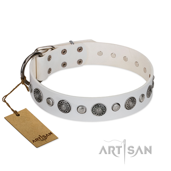 Gentle to touch genuine leather dog collar with rust resistant D-ring