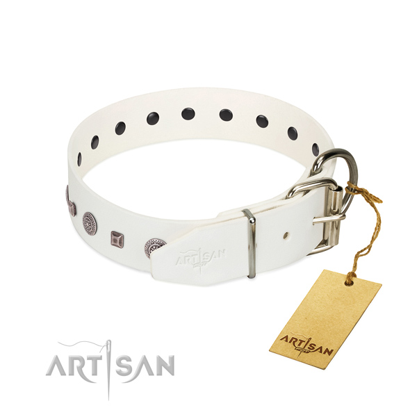 Strong fittings on everyday use collar for your dog
