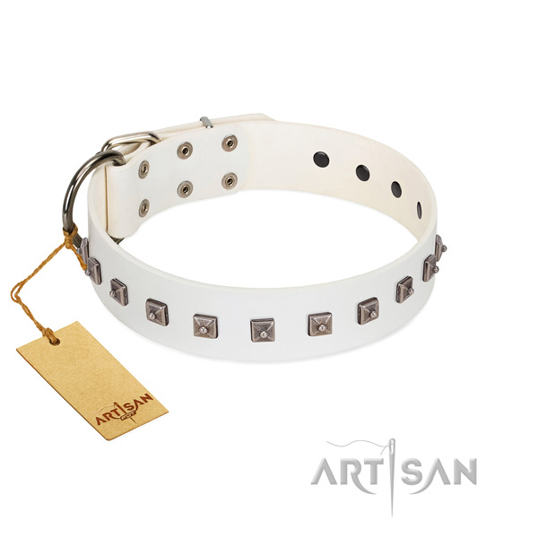 Impressive adorned leather dog collar