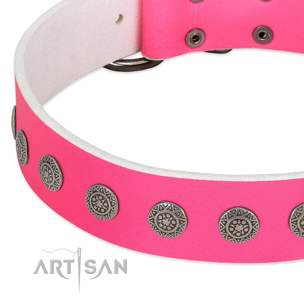 Trendy genuine leather collar with studs for your doggie
