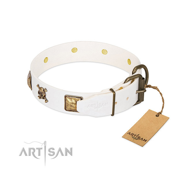 Remarkable full grain genuine leather dog collar with corrosion resistant embellishments