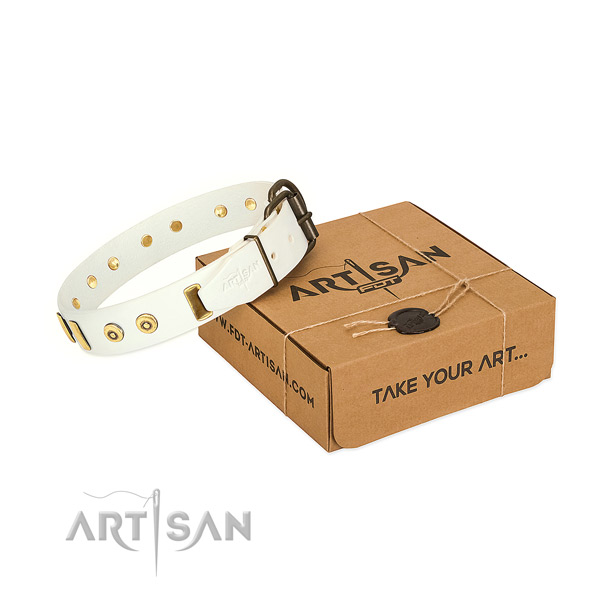 Leather dog collar with remarkable adornments for handy use