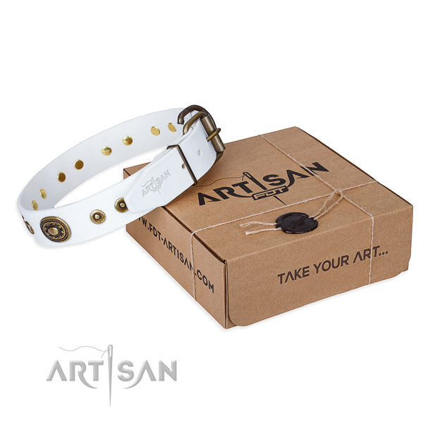 Full grain natural leather dog collar made of gentle to touch material with durable D-ring