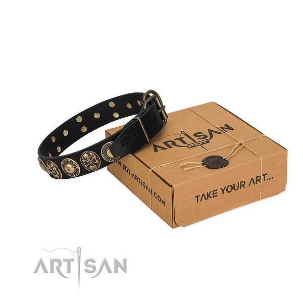 Reliable D-ring on dog collar for daily walking