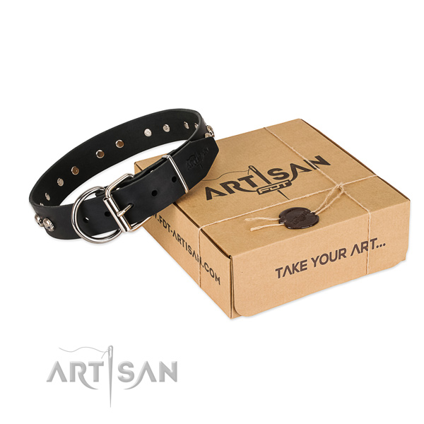Corrosion resistant embellishments on dog collar for handy use