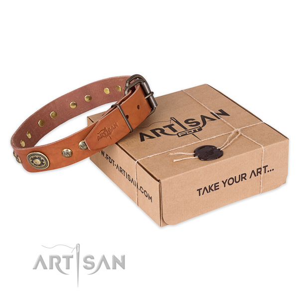 Rust-proof traditional buckle on full grain natural leather dog collar for comfy wearing
