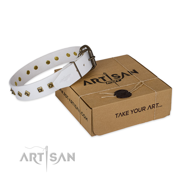 Rust-proof buckle on full grain leather dog collar for fancy walking