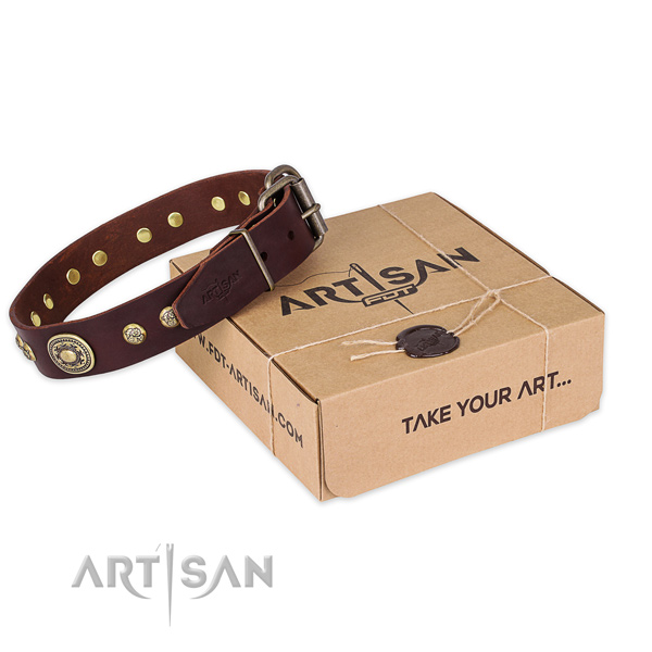 Rust-proof D-ring on full grain leather dog collar for basic training