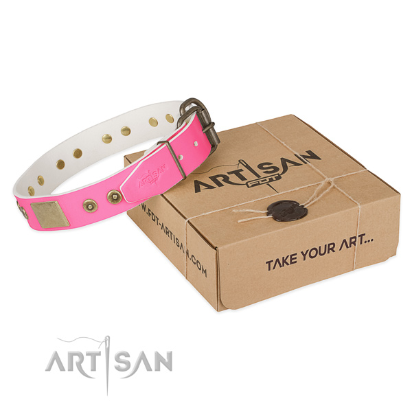 Rust resistant hardware on dog collar for walking