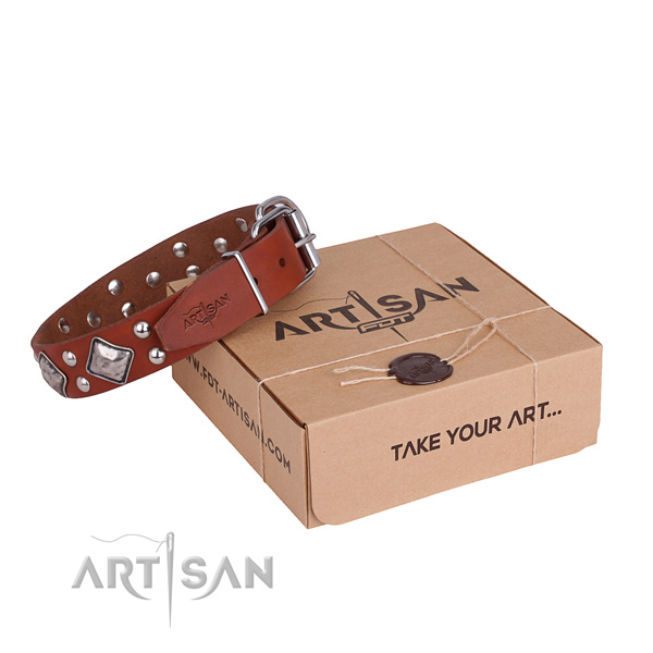 Easy wearing dog collar with Top notch corrosion proof studs