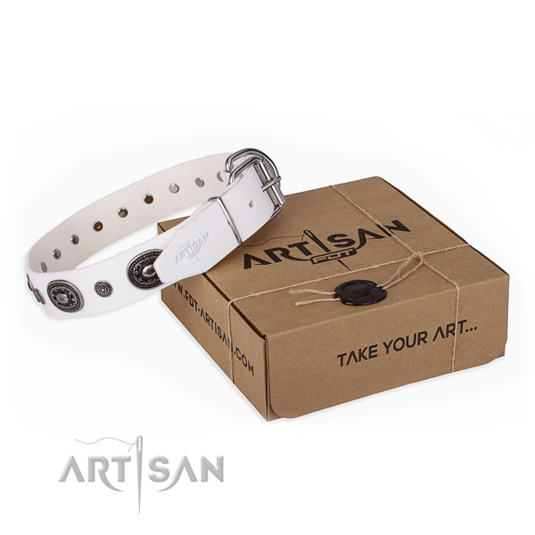 Strong full grain genuine leather dog collar created for daily walking