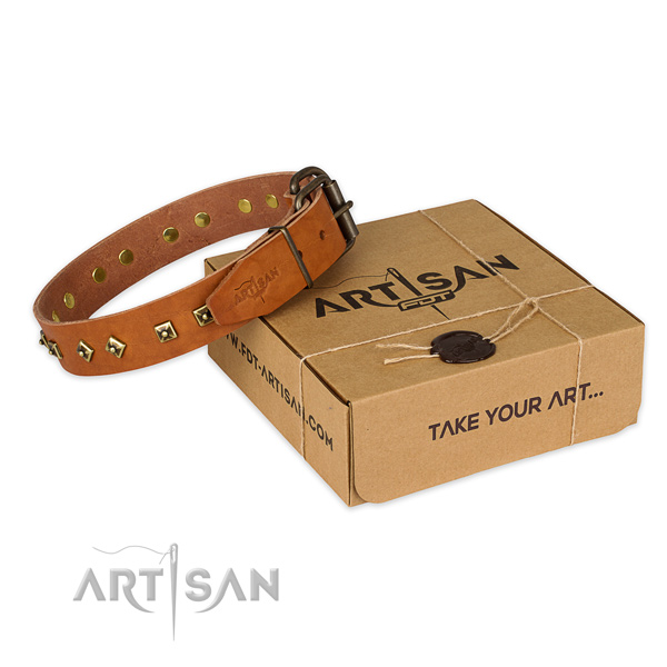 Rust-proof D-ring on full grain natural leather dog collar for walking