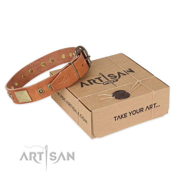 Strong buckle on full grain natural leather dog collar for everyday walking