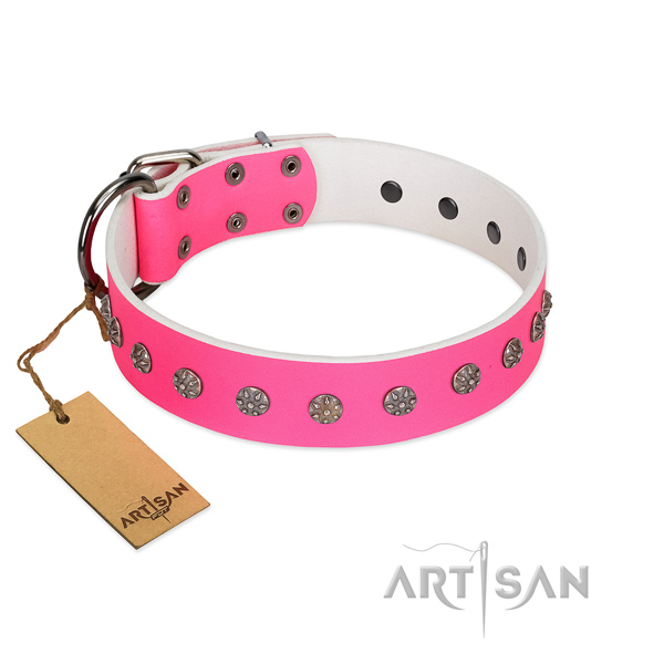 Stylish walking full grain natural leather dog collar with impressive decorations