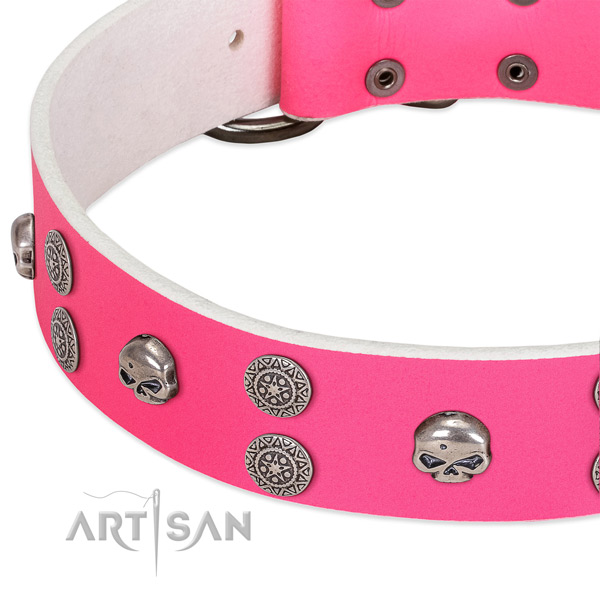 Soft to touch genuine leather dog collar with stylish studs