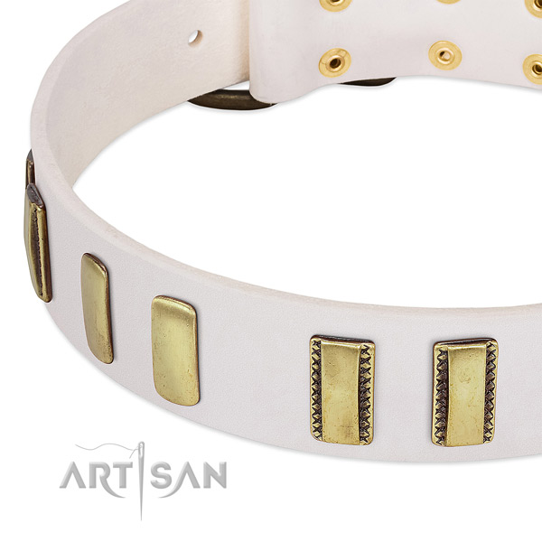 Top notch full grain natural leather dog collar with decorations for walking