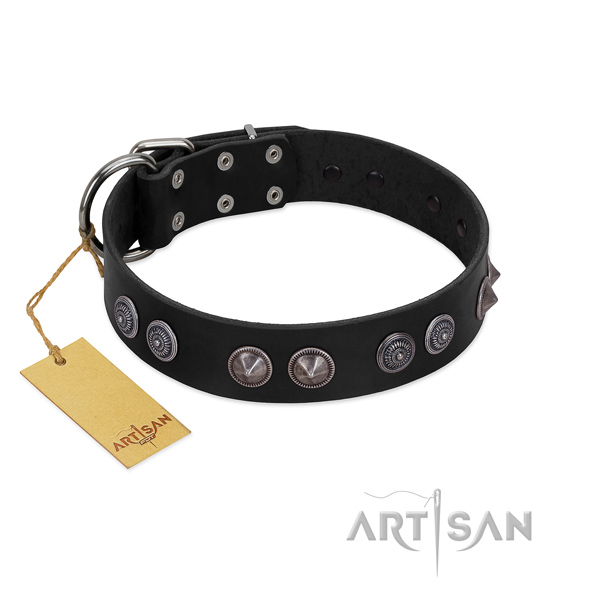 Strong buckle on incredible genuine leather dog collar