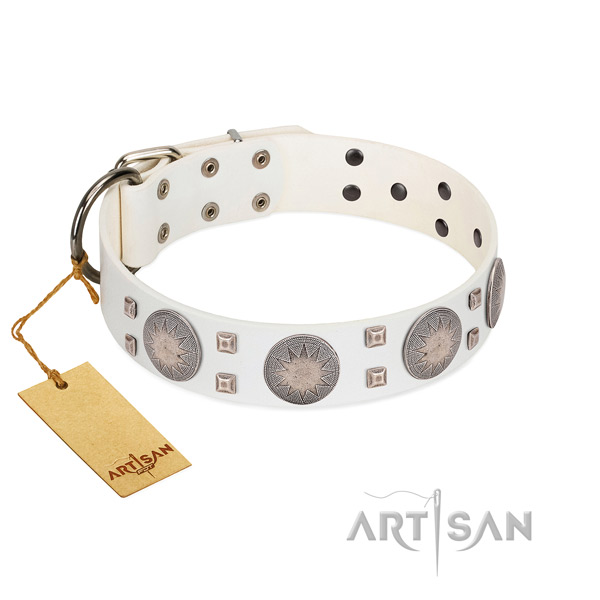 Significant leather dog collar for walking in style your dog
