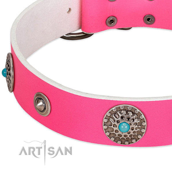 Studded collar of leather for your handsome dog