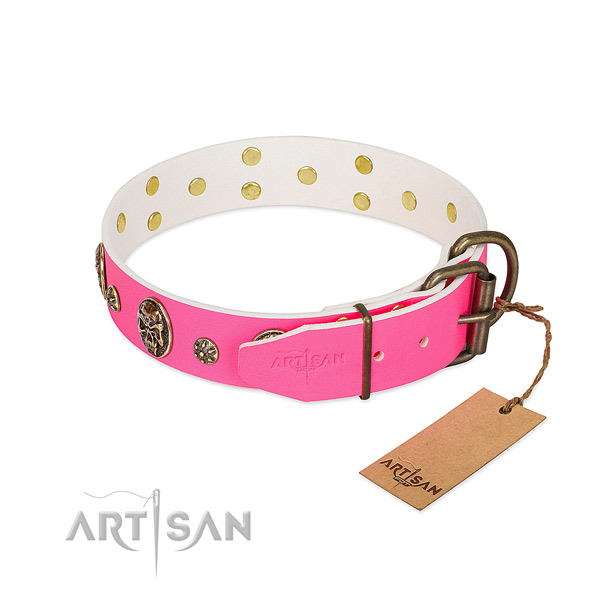 Strong hardware on leather collar for walking your pet