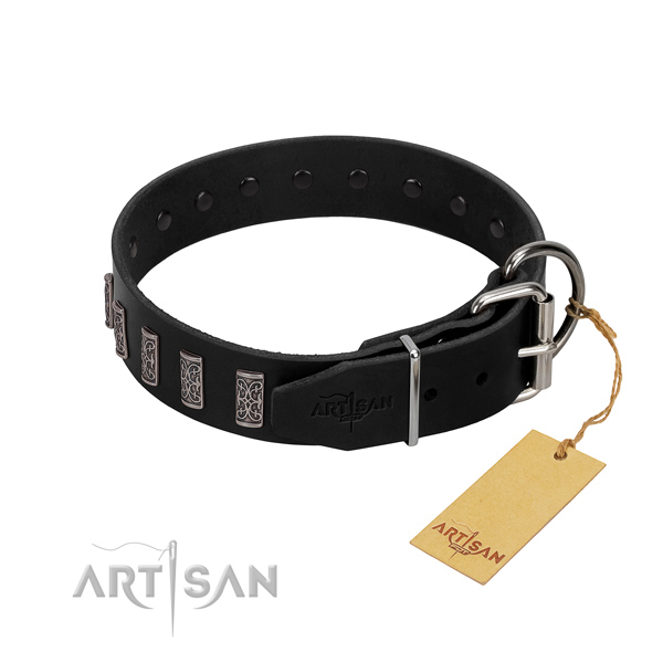Strong traditional buckle on leather dog collar for basic training your canine