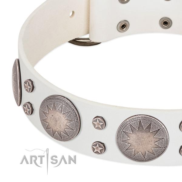 Remarkable leather dog collar with strong decorations