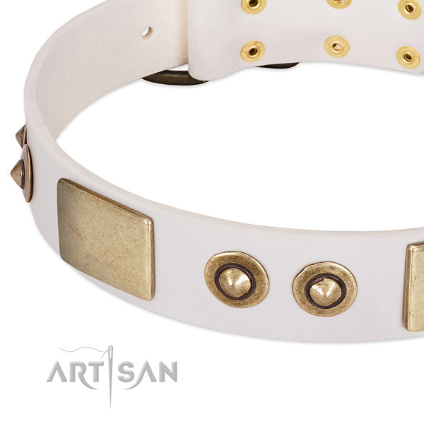 Rust resistant studs on natural genuine leather dog collar for your four-legged friend