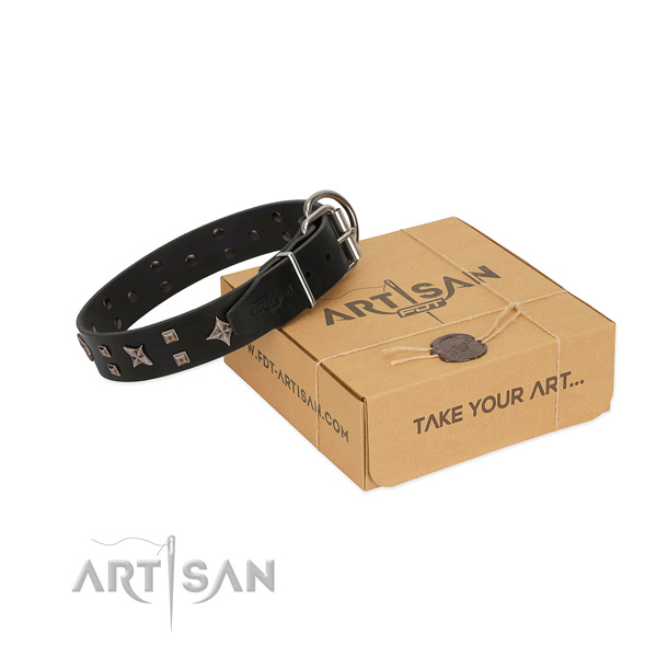 Amazing adornments on full grain natural leather collar for your dog